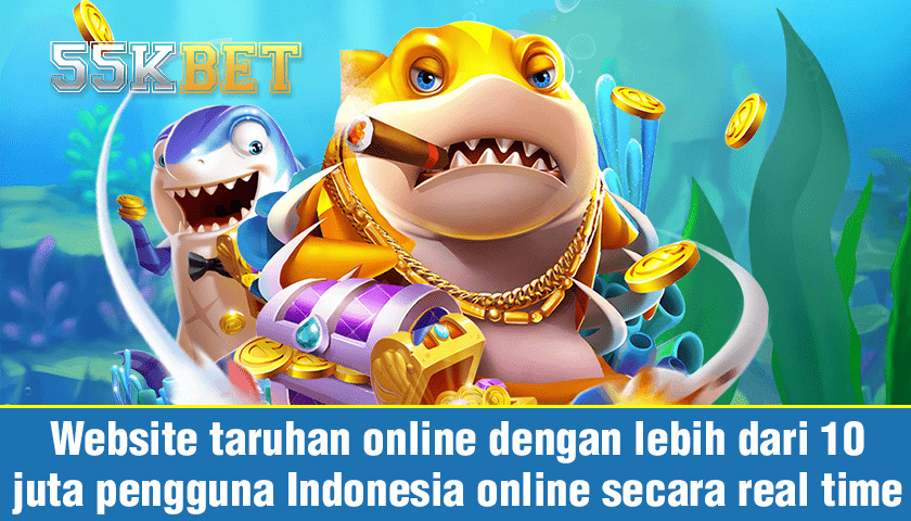 IBC4D -